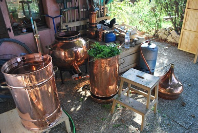 Distillation par entrainement à la vapeur d'eau : Distill'Rêve