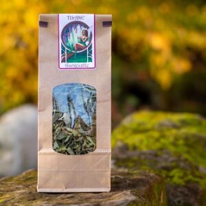 Tisane Gargouille Bio