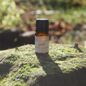 Huile essentielle de Menthe poivrée Bio