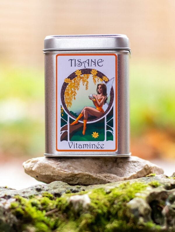 Boite décorée Fée Vitaminée - Tisane Bio