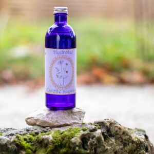 Hydrolat de Carotte sauvage Bio