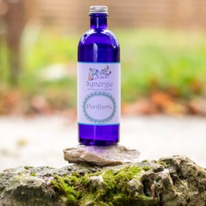 Synergie Purifiante Bio