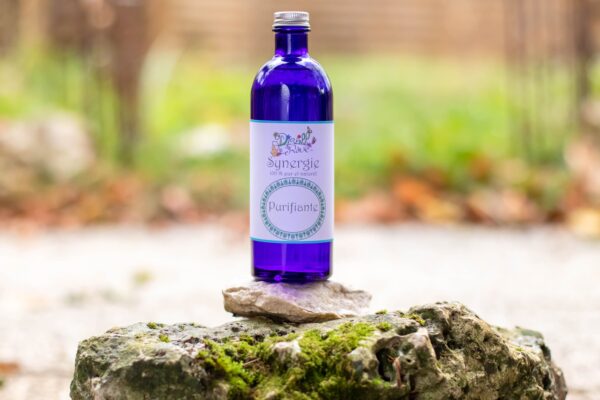 Synergie Purifiante Bio