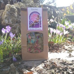Tisane Soma Prana : Tisane ayurvédique Bio