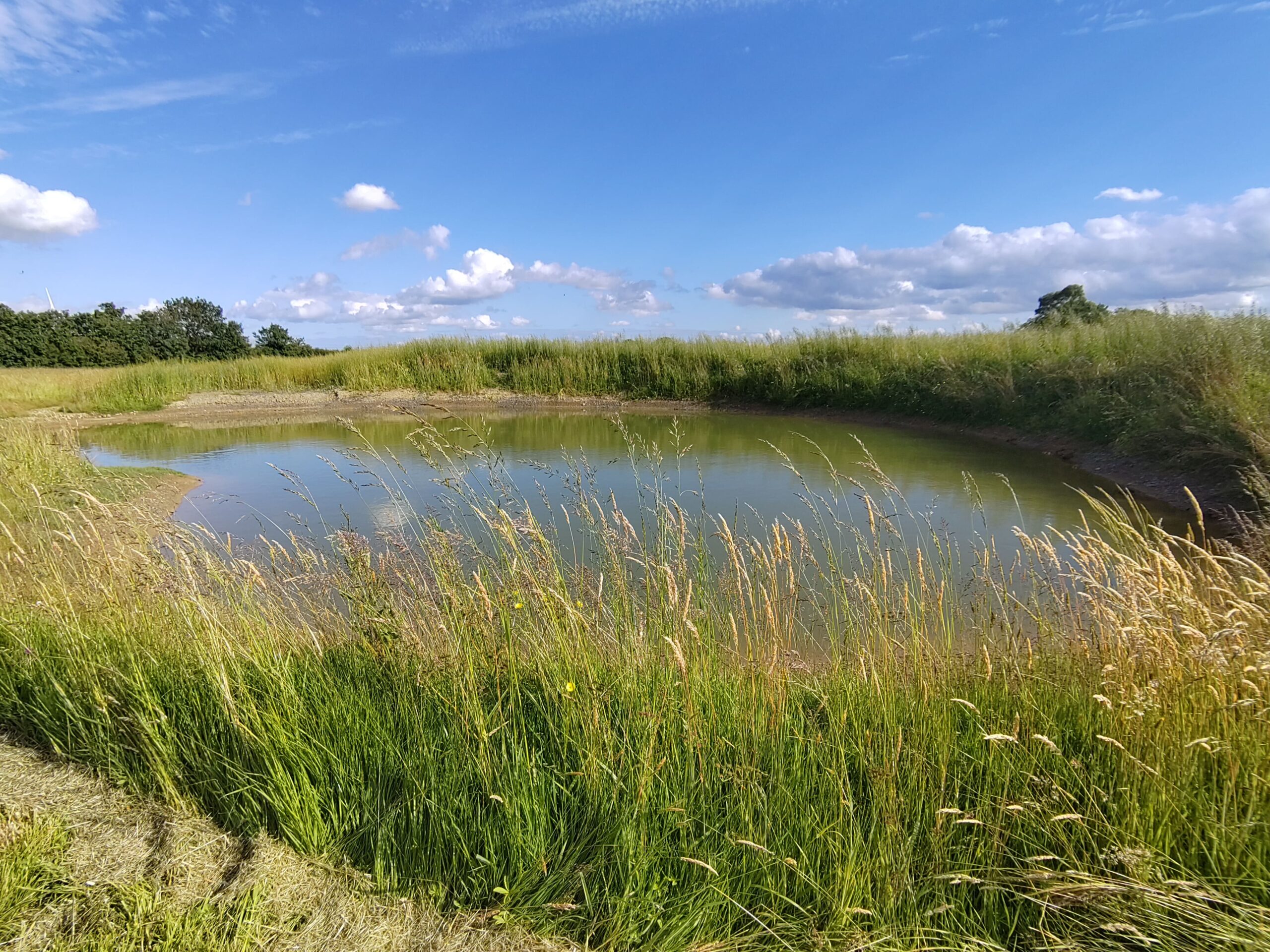 Se ressourcer au Domaine Terre de Vie